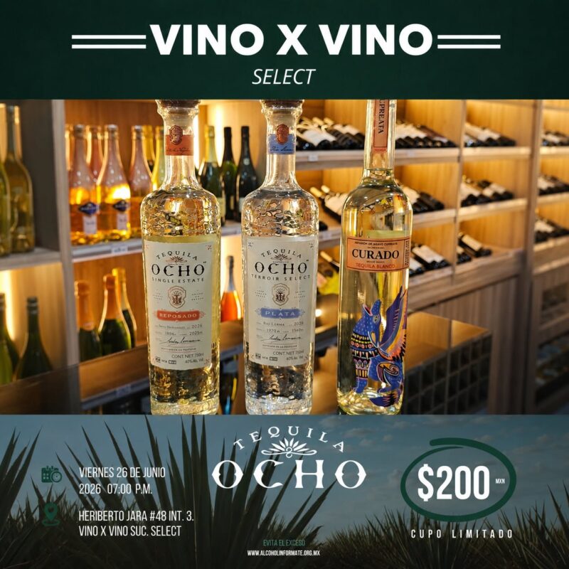 catatequila8-e1782236823585